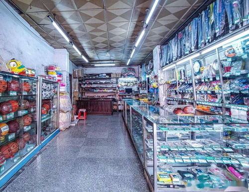 新學期話新氣象 熱門文體用品指南